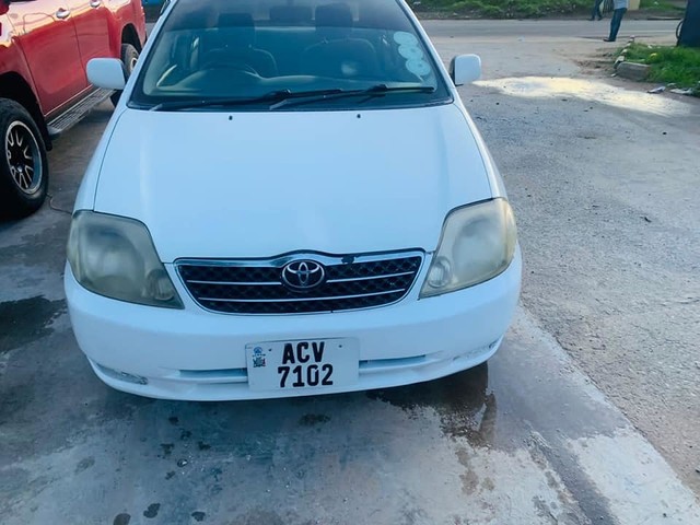 used-cars-for-sale